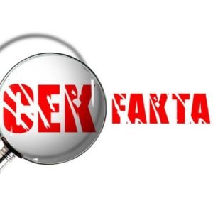 AMSI dan AJI Periksa Fakta Pemilu Dibantu Google dan Mafindo