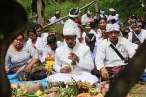 Nyepi di Plakat Tinggi Serasa di Bali