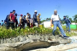 Pulau Maspari Dicanangkan Menjadi Destinasi Wisata Baru Sumsel