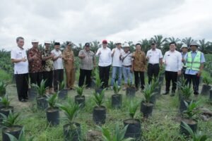 Pemkab MUBA Apresiasi KUD Barokah Jaya