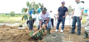 PLN Tanam 22.000 Pohon di Hari Menanam Pohon Indonesia 2018