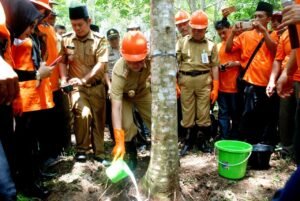 Atasi Penyakit Tanaman Karet, Bupati Mura Canangkan Gardal JAP