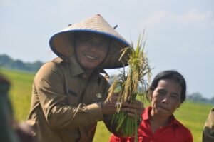 Data Lahan Pertanian di OKI Menurun, Pemerintah Fokus Swasembada Pangan