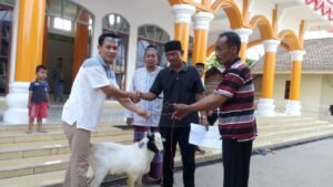 Richard Serahkan Dua Kambing Kurban di Kecamatan Lempuing
