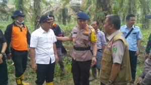 Bupati OKI Minta Polisi Tindak Tegas Pembakar Lahan