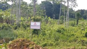 Pelaksana Proyek Tol Celikah Diduga Buang Lumpur ke Tanah Warga