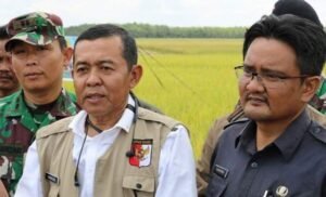 Kejar Target Nasional, OKI Tingkatkan Tanam Padi IP 300