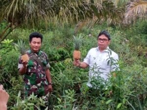 Bupati Terpilih Harus Dukung Restorasi Gambut