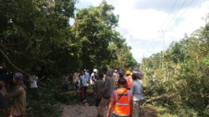 Warga Desa Riding Bersihkan Ranting Pohon di Jalan Utama