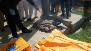 Heboh, Warga Lahat Temukan Mayat Bayi di TPA