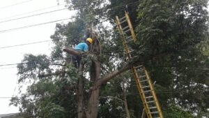 Ini Penjelasan PLN Terkait Adanya Pemadaman Lampu