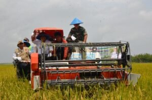 OKI Berpotensi Jadi Lumbung Pangan Utama Sumsel