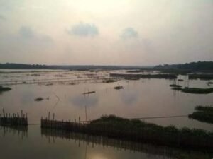 L3S Sumbang PAD OKI Rp6,4 Miliar