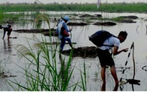 Tim Investigasi Turun ke Lokasi Eks Pelabuhan Sriwijaya di Teluk Cengal