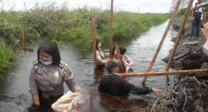 Peduli Karhutla, Polwan Polres OKI Turun ke Aliran Sungai Buat Sekat Kanal