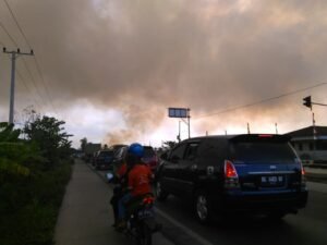 Puluhan Hektar Gambut di Ogan Ilir Terbakar