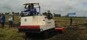 Luas Tanam Padi di Kabupaten OKI Melambat