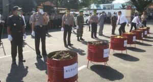 Kapolda Sumsel Musnahkan 70 Kilogram Ganja Kering