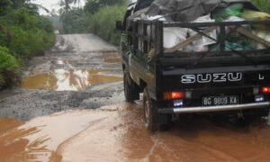 Warga Keluhkan Kondisi Jalan Pampangan Bak Kubangan Kerbau