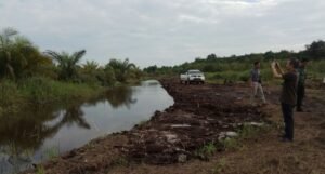 10 Kecamatan di Kabupaten OKI Rawan Karhutla