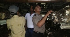 Warga Desa Bumi Arjo Galakkan Budidaya Jamur Merang