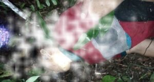 Randi Wijaya Ditemukan Tewas di Kebun Karet