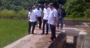 Ratusan Hektar Sawah Terancam Gagal Panen