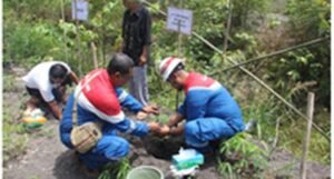 Cegah Erosi, 4000 Pohon Sentul Ditanam di Pinggiran Sungai Batang Hari
