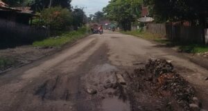 Sering Dilintasi Truk Batu Bara, Jalan Provinsi Kerta Dewa Rusak Berat