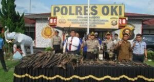 Polres OKI Amankan 161 Senpira