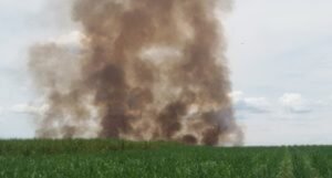 Diduga Lalai, Lahan PTPN VII Cinta Manis Kembali Terbakar
