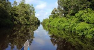 Melacak Budaya Peduli Lingkungan Masyarakat Gambut di Nusantara