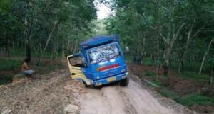 Baru Dibangun, Jalan Desa Tanjung Harapan Rusak