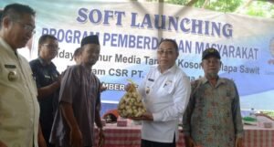 PT Sampoerna Agro Inisiasi Budidaya Jamur Merang dengan Media Limbah Sawit