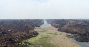 Perusahaan Diminta &lsquo;Tidak Mencari Perhatian&rsquo; Soal Kebakaran Hutan dan Lahan