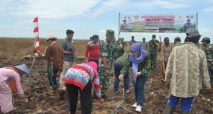 Kabupaten OKI Gelar Gerakan Tanam Serentak