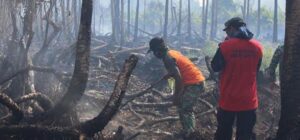 MUI Sumsel Dukung Pengesahan Fatwah Haram Bagi Pembakar Hutan