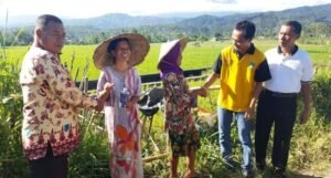 Pemkab Lahat Bentuk Tim Pantau Potensi Pertanian