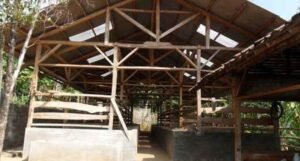 Miris, Janda Tiga Anak Tinggal di Bekas Kandang Sapi