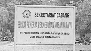 Dewan Sumsel, Sebut ada Kongkalikong antara BPN dan PTPN VII