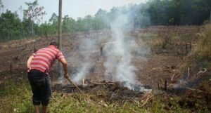 Solusi Membuka Lahan Tanpa Bakar dari Dinas Pertanian OKI. Seperti Apakah?