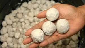 YLKI Lahat Desak Pemerintah Sanksi Pedagang Bakso Nakal