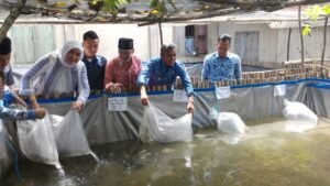 Bupati OKI Tebar 4000 Benih Ikan Gurami di Desa Anyar