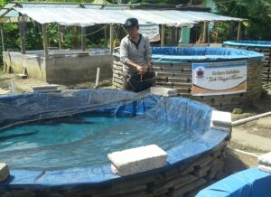 Pria ini Kembangkan Budidaya Lele Dengan Sistem Bioflok