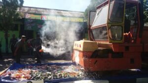 TNI Musnahkan 162,03 Kg Ganja Kering dan 1.687 Miras di Papua