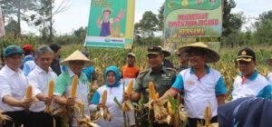 Pemkab Empat Lawang Gelar Panen Raya Padi, Jagung, dan Kedelai