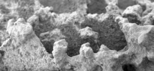 Ada Batu Misterius Mirip Kembang Kol di Mars