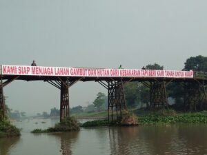 KLHK Segera Bentuk Tim Restorasi Gambut di Sumatera