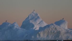 Arkeolog Temukan Puing Kapal Pemburu Paus
