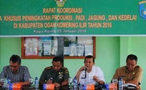 Sepanjang 2015, Kabupaten OKI Realisasikan 639.545 ton Padi